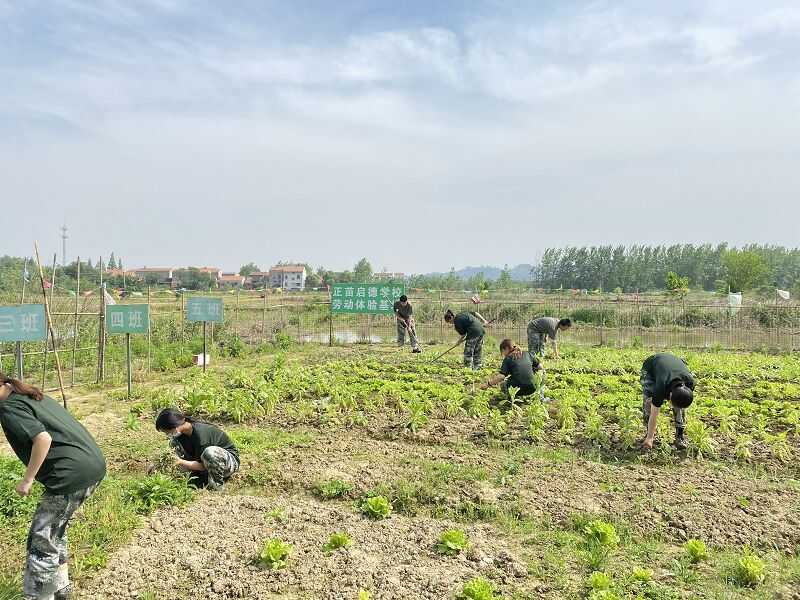 江苏泰州全封闭学校 (图2)