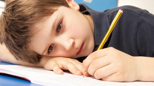 河南商丘特殊学校叛逆(图4)