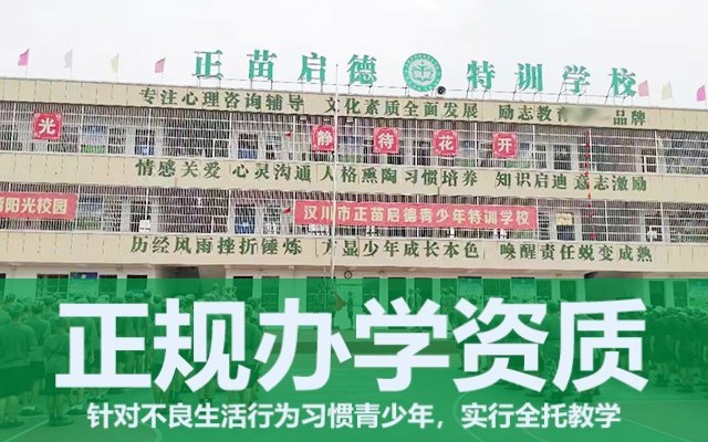 孩子叛逆怎样处理(孩子叛逆打人怎样处理)(图1)